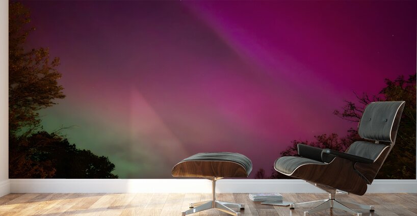 Aurora 5 Wall Murals