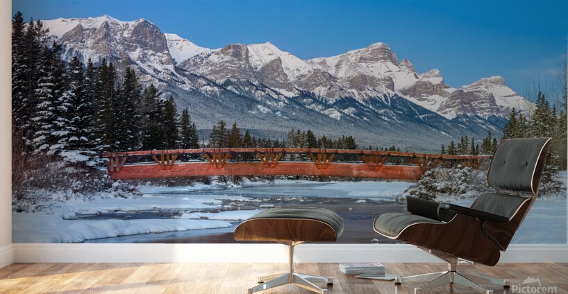 Policeman s Creek Bridge 1 BW Wall Murals