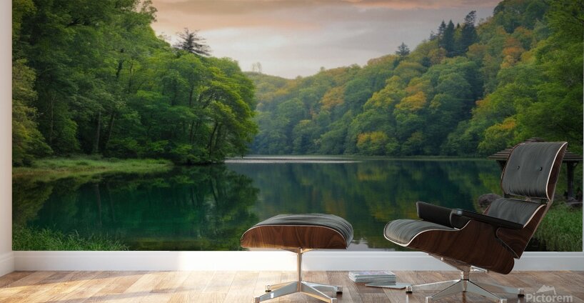 nature photo Wall Murals