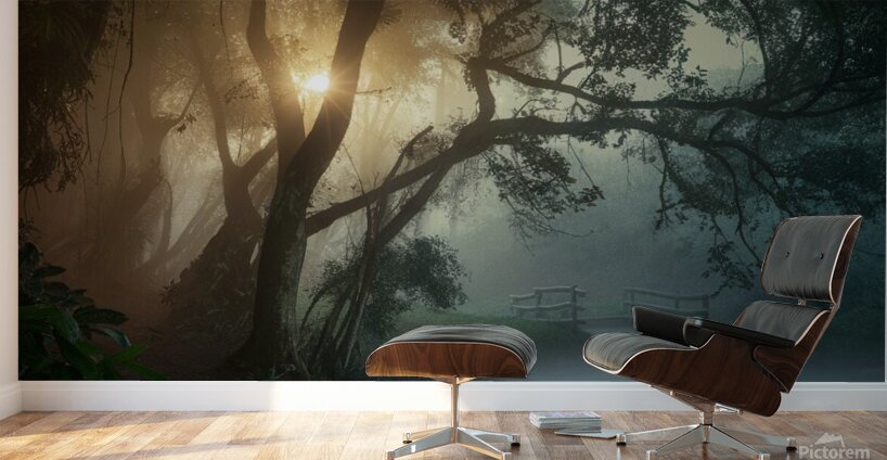 A lush green forest in the early morning mist Wall Murals