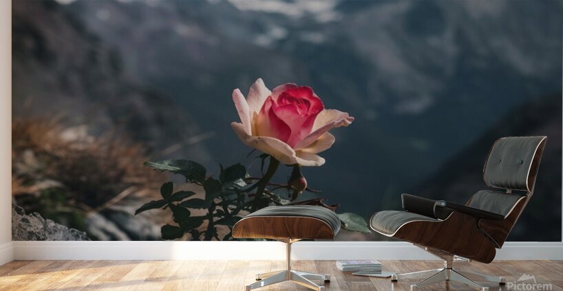 nestled amidst a rugged mountain landscape a soli Wall Murals