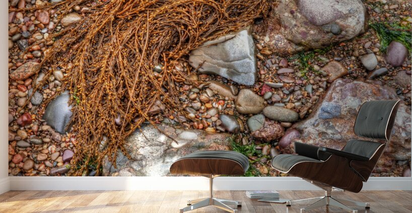 Pebbles On The Beach Wall Murals