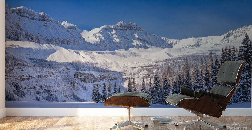 Boom Lake Winter Wall Murals