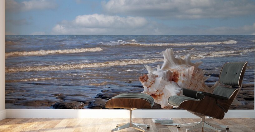 Call of the Ocean - Murex Seashell Wall Murals