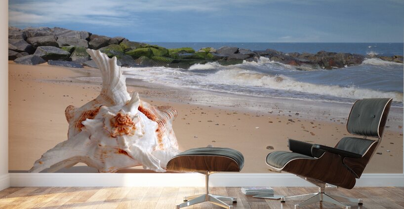 Summer Tide - Murex Seashell Wall Murals