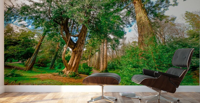 Powerscourt Gardens Wall Murals