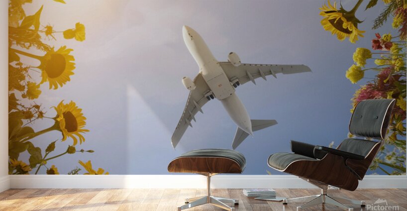 Plane Wall Murals