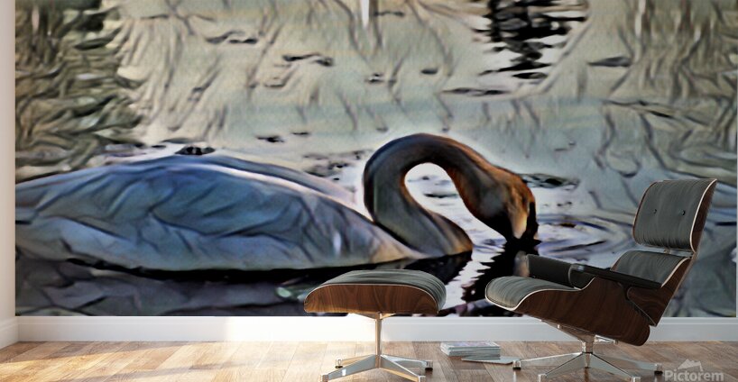 Swan on lake in the morning Wall Murals