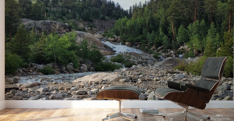 Rocky Stream Wall Murals