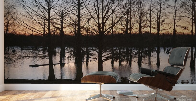 End Of Day Wall Murals