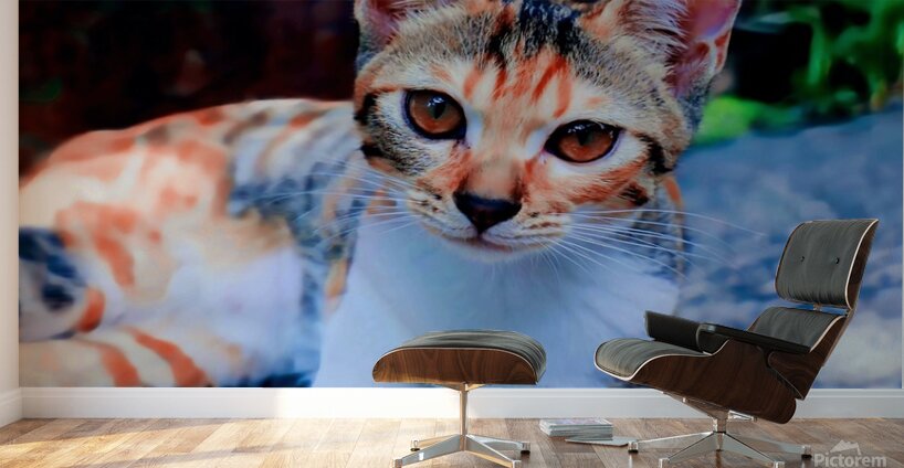 A Calico Cutie: A Symphony of Feline Beauty Wall Murals