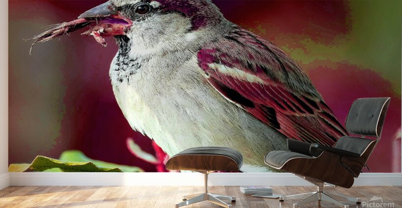 Natures Symphony: A Tapestry of Floral Beauty and Avian Grace Wall Murals