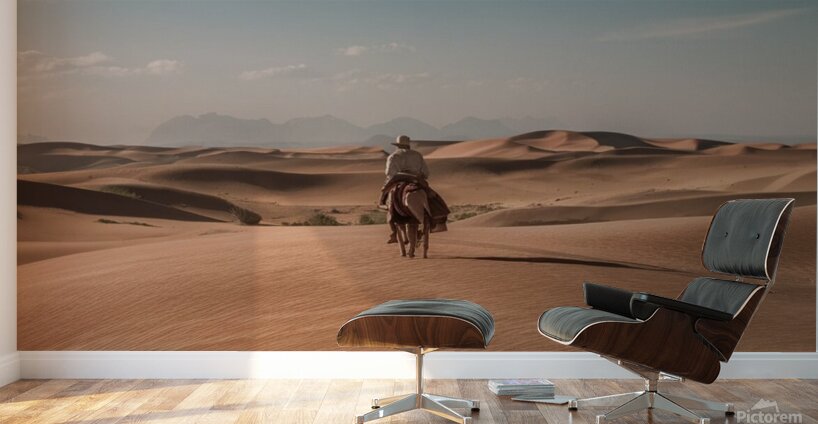 Desert landscapes Wall Murals