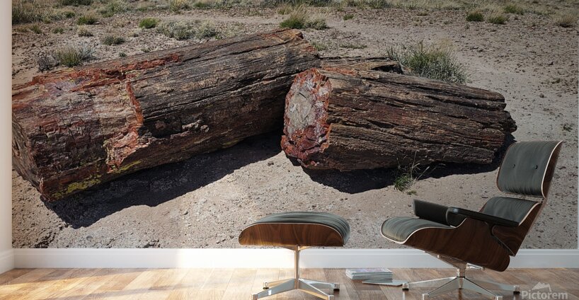 20240412 122857 Wall Murals