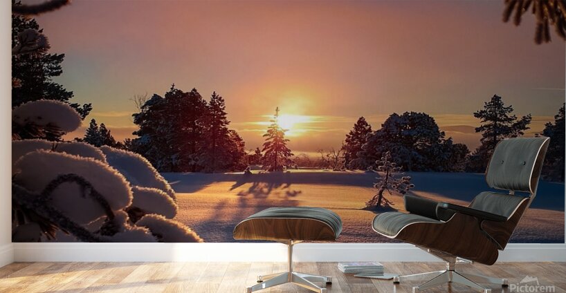 hdoaa.com D8 B5 D9 88 D8 B1 D8 AC D9 85 D9 8A D9 Wall Murals