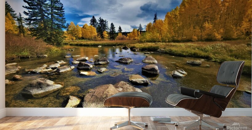 Duck Creek fall 22 Wall Murals