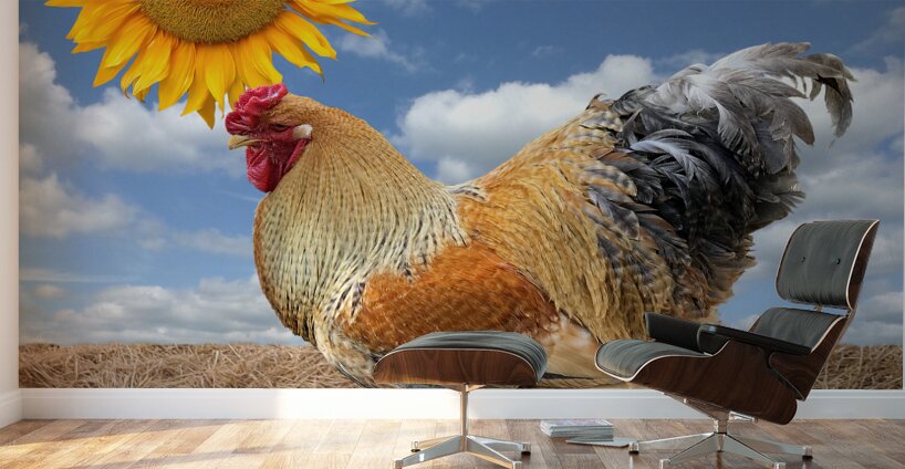Good Morning Sunshine Rooster With Sunflower Wall Murals
