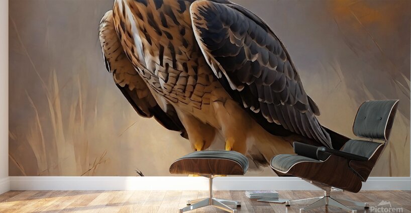 Northern Harrier Wall Murals