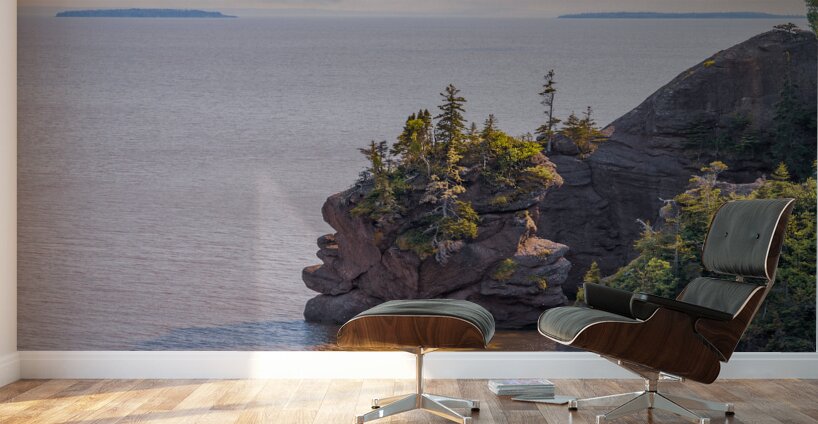 Hopewell Rocks Shoreline Wall Murals