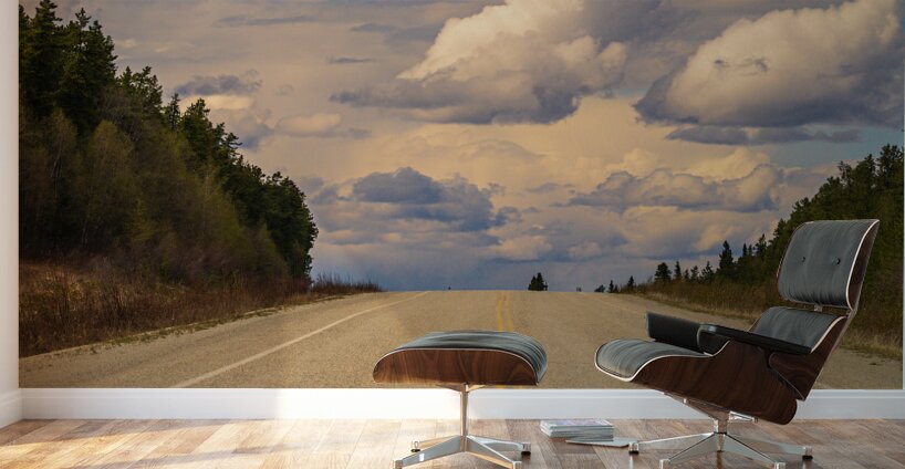 Road Ahead Wall Murals