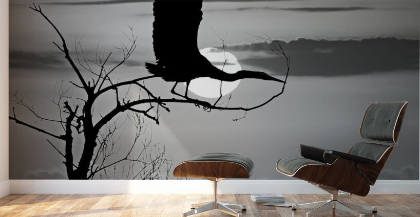 Sunrise is for the Birds by Maureen Ravnik  Wall Murals