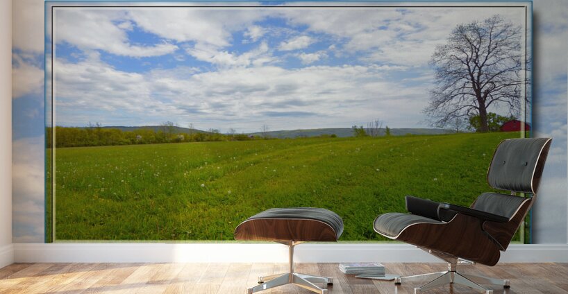 Country Meadow Ver 2  Wall Murals