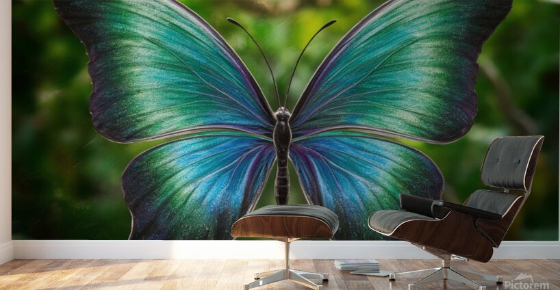 vibrant butterfly Wall Murals