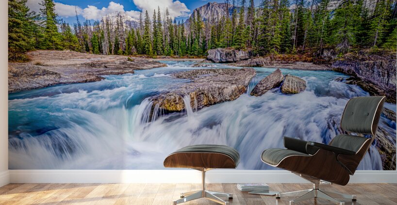 Water Water Water Fall Wall Murals