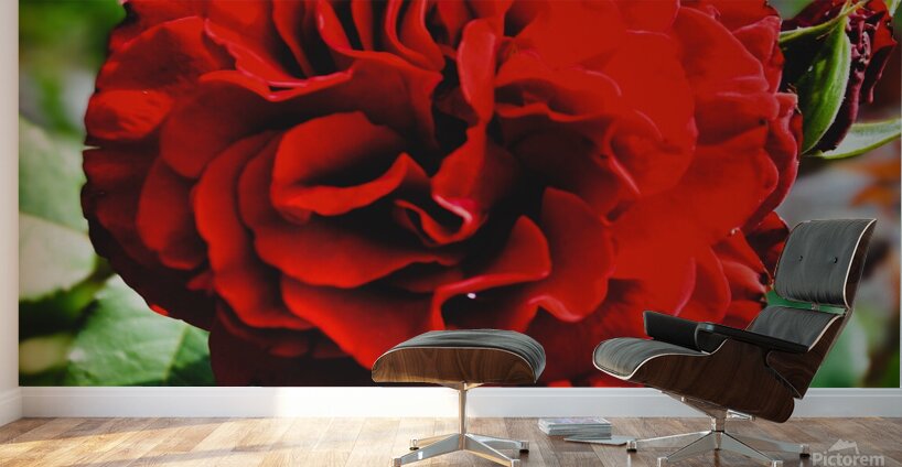 Queen of Hearts  Wall Murals