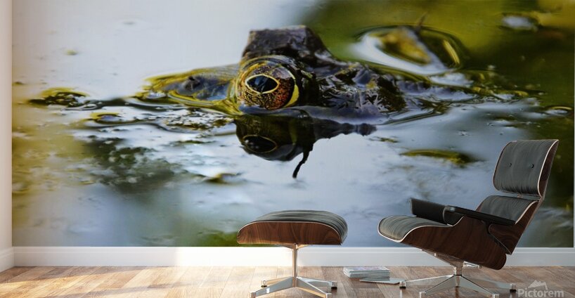 Theodore  Wall Murals