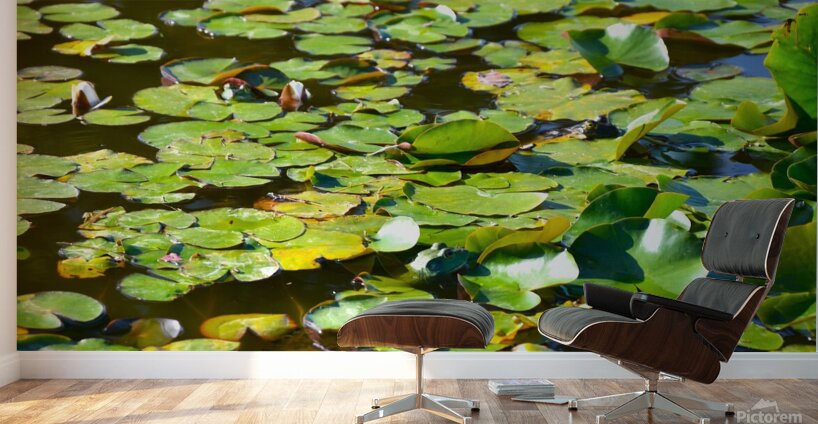 The 3 Amigos  Wall Murals