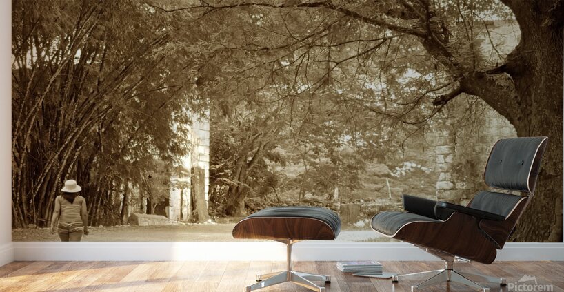 girl on a walk Wall Murals