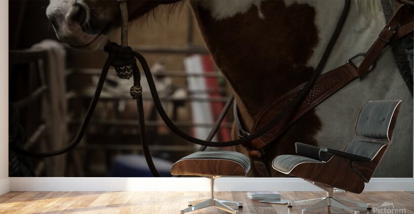 J64A9509 Wall Murals