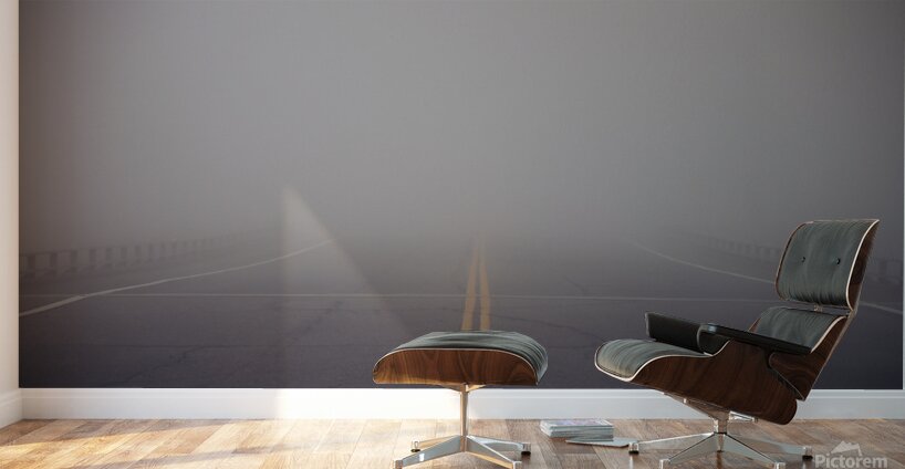 J64A2064 Wall Murals