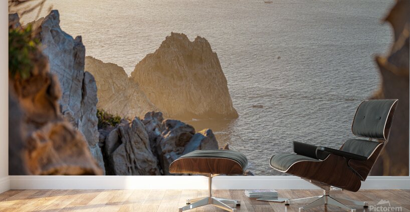 DSC02928 Wall Murals