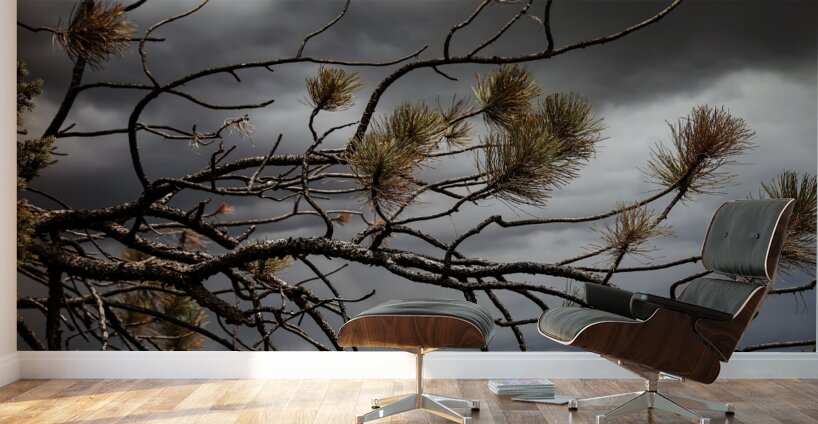 Crimson Storm Wall Murals