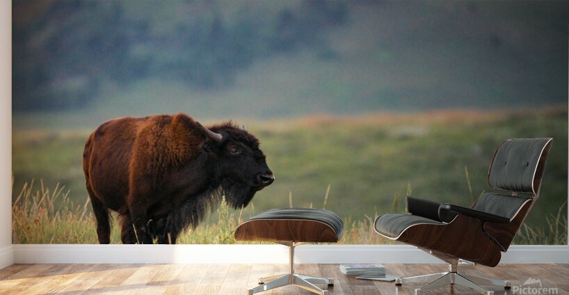 DSC00443 Enhanced SR Wall Murals