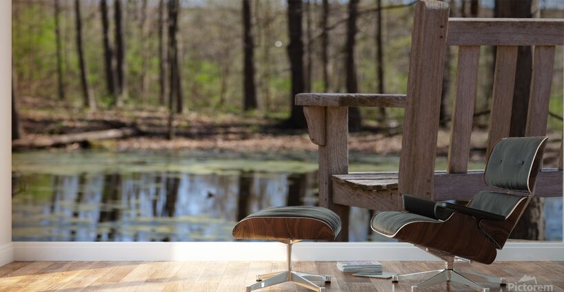 Nature’s View Wall Murals