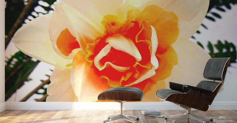 Orange&White Flower Wall Murals
