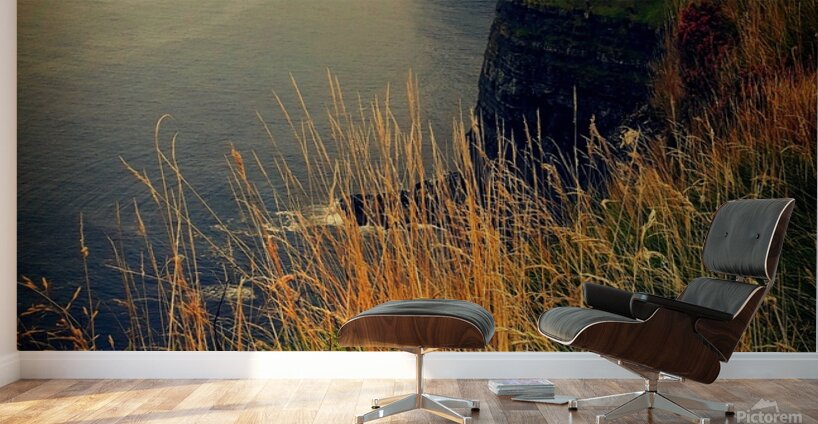 The Cliffs of Moher Ireland Wall Murals