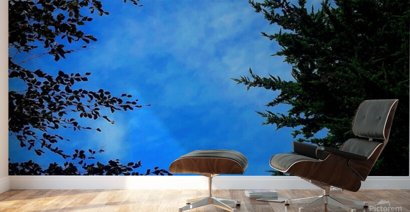 Sky&Trees Wall Murals