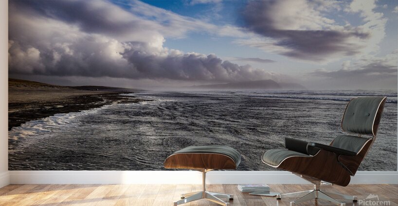 16 IMG 20231104 170336813 Wall Murals