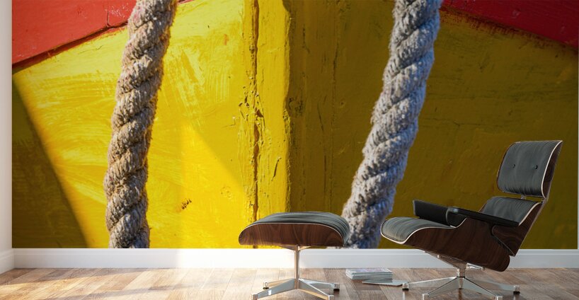 Colourful Dory - r45 Wall Murals