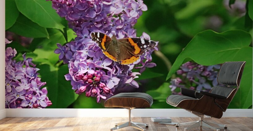 Red Admiral And Lilacs III Wall Murals