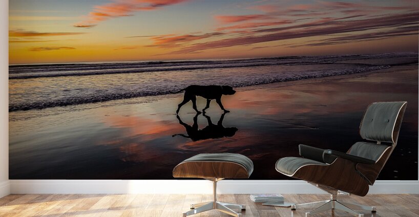 IMG 20231117 165154783 Wall Murals