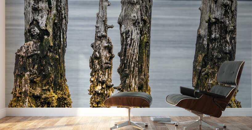 Air Drying Wall Murals