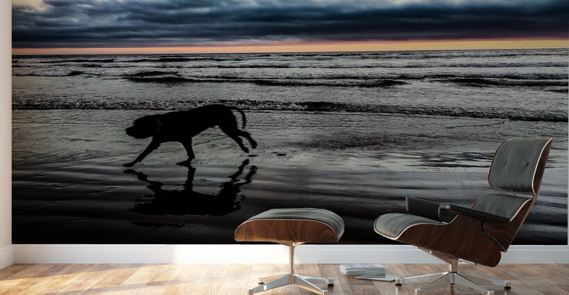 IMG 20230701 210812220 Wall Murals