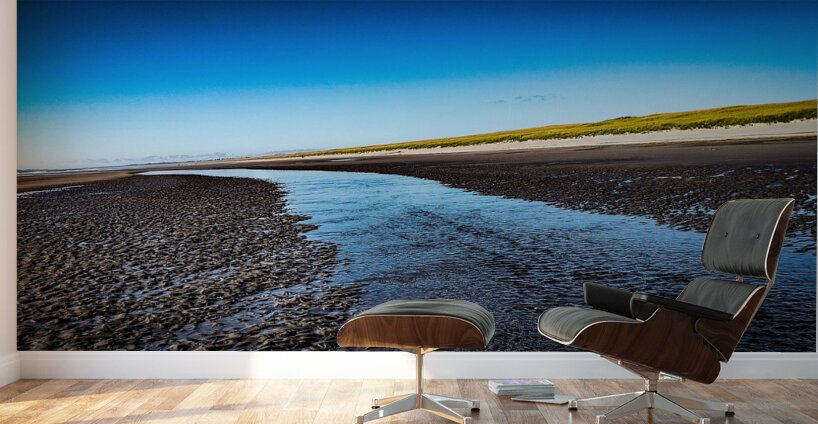 IMG 20230803 180433275 Wall Murals