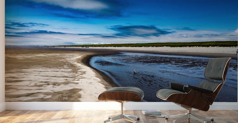 IMG 20230722 120831321 Wall Murals