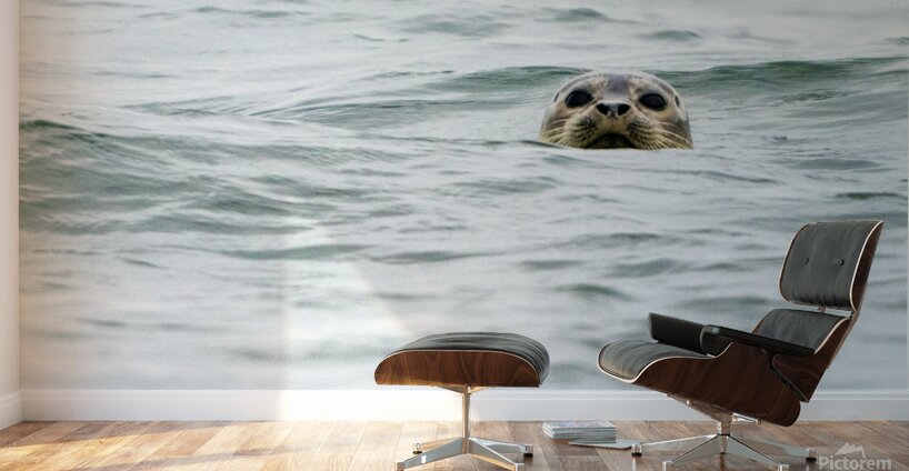 IMG 6949 Wall Murals